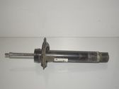 Front shock absorber/damper