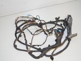 Front door wiring loom