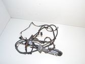 Front door wiring loom