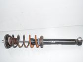 Rear shock absorber with coil spring