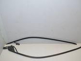Roof trim bar molding cover