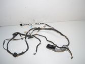Front door wiring loom