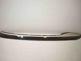 Roof trim bar molding cover