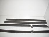 Front door trim (molding)