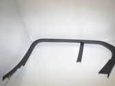Rear door glass trim molding