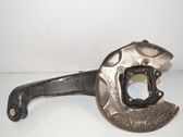 Rear wheel hub