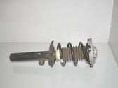 Front shock absorber with coil spring