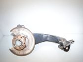 Rear wheel hub