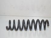 Rear coil spring