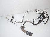 Front door wiring loom