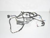 Front door wiring loom