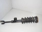Front shock absorber with coil spring