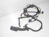Front door wiring loom