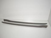 Windshield trim