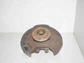 Rear wheel hub