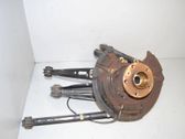 Rear wheel hub