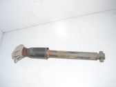 Rear shock absorber/damper