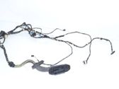 Front door wiring loom