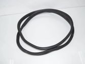 Rear door rubber seal (on body)