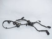 Other wiring loom