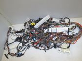 Other wiring loom