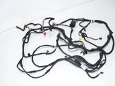 Other wiring loom