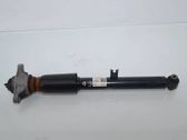 Rear shock absorber/damper
