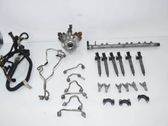 Fuel injection system set