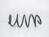 Front coil spring