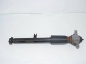 Rear shock absorber/damper