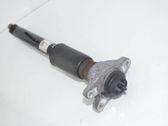 Rear shock absorber/damper