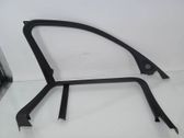 Rear door glass trim molding