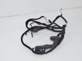 Rear door wiring loom