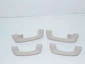 A set of handles for the ceiling