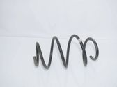 Front coil spring