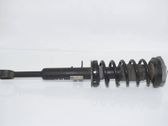 Front shock absorber with coil spring