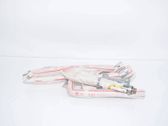 Roof airbag
