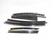 Rear door glass trim molding