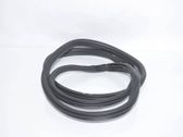 Rear door rubber seal (on body)