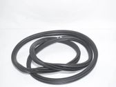 Rear door rubber seal (on body)
