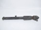 Rear shock absorber/damper