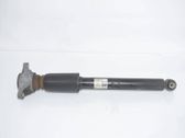 Rear shock absorber/damper