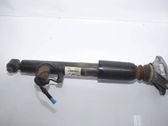 Rear shock absorber/damper