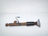 Rear shock absorber/damper