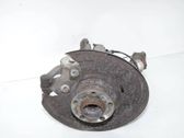Rear wheel hub
