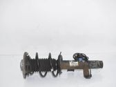 Front shock absorber/damper