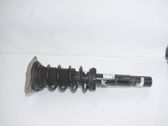 Front shock absorber with coil spring