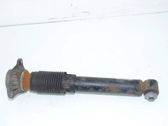 Rear shock absorber/damper