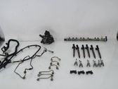 Fuel injection system set