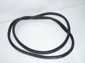 Front door rubber seal